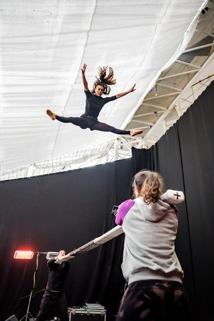 Spinish Circo - FINS AL CEL