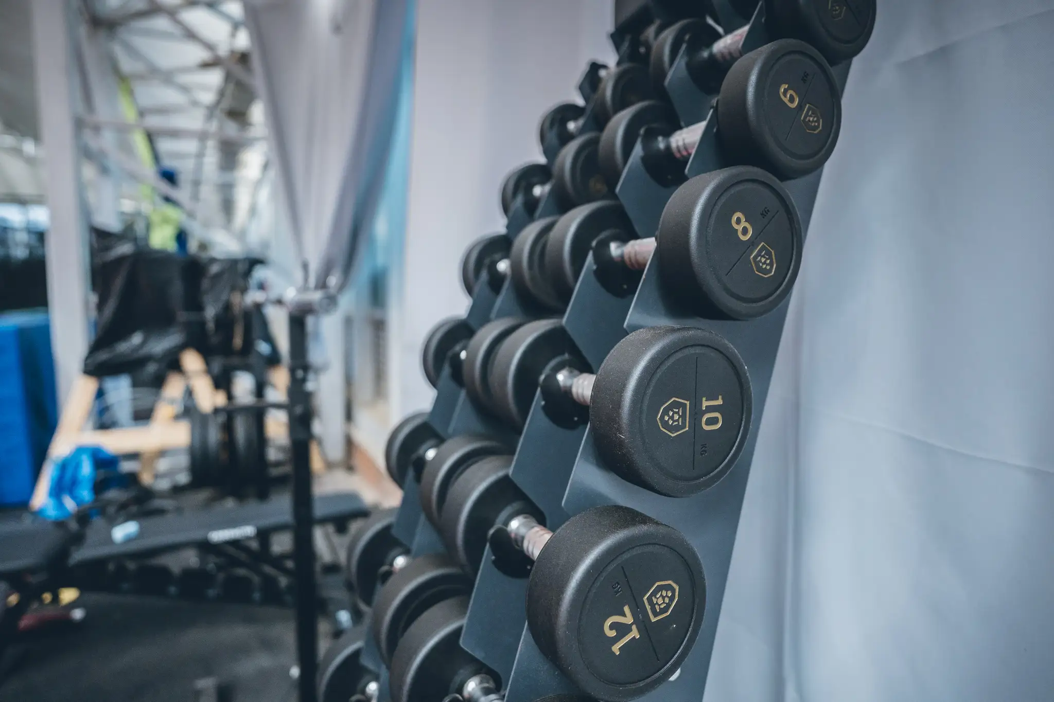 Zona de gimnasio del Invernadero