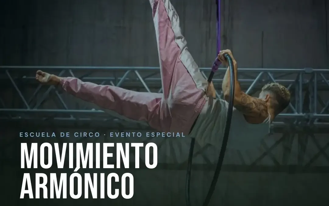 Taller movimiento armonico